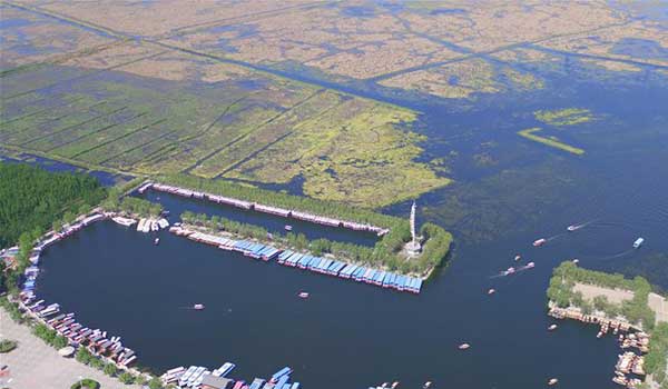 培育时代先锋 培育时代先锋