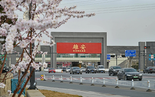 雄安干部培训基地