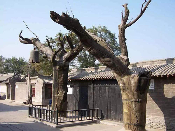 雄安干部培训基地