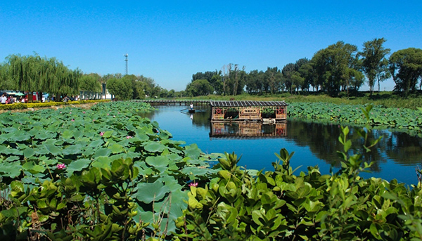雄安干部培训基地