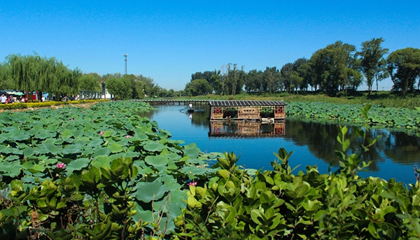 雄安干部培训基地
