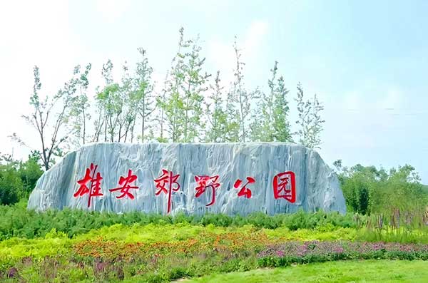 雄安培训 雄安培训