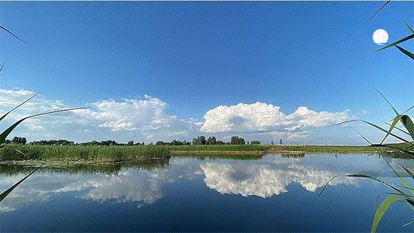 雄安干部培训学院