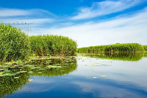 雄安干部培训学院