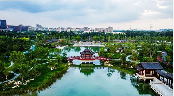 雄安干部培训 雄安干部培训