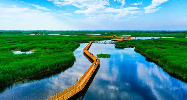 雄安干部培训学院